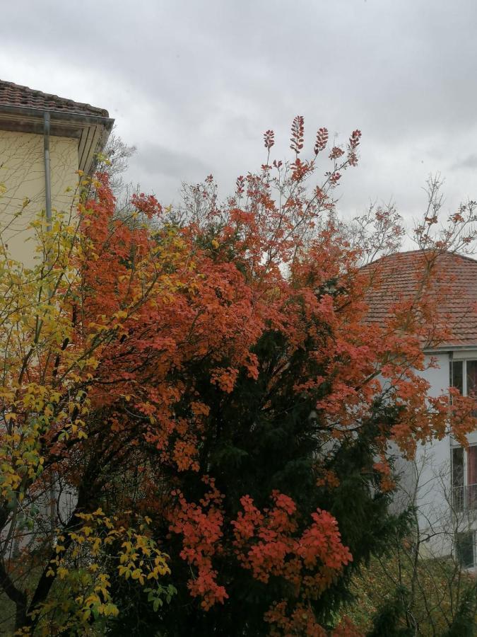 Gaestehaus Goethe-Institut Σβέμπις Χαλ Εξωτερικό φωτογραφία